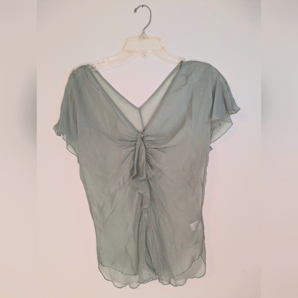 Twelfth Street by Cynthia Vincent sheer blouse size M